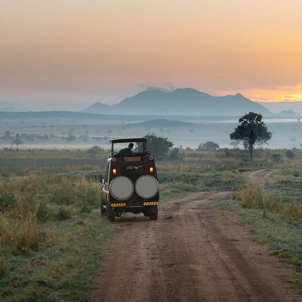 4 Days Kidepo Valley National Park | Uganda