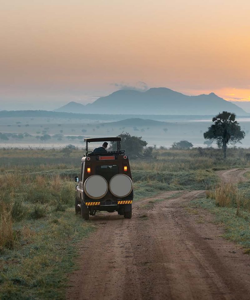 4 Days Kidepo Valley National Park | Uganda