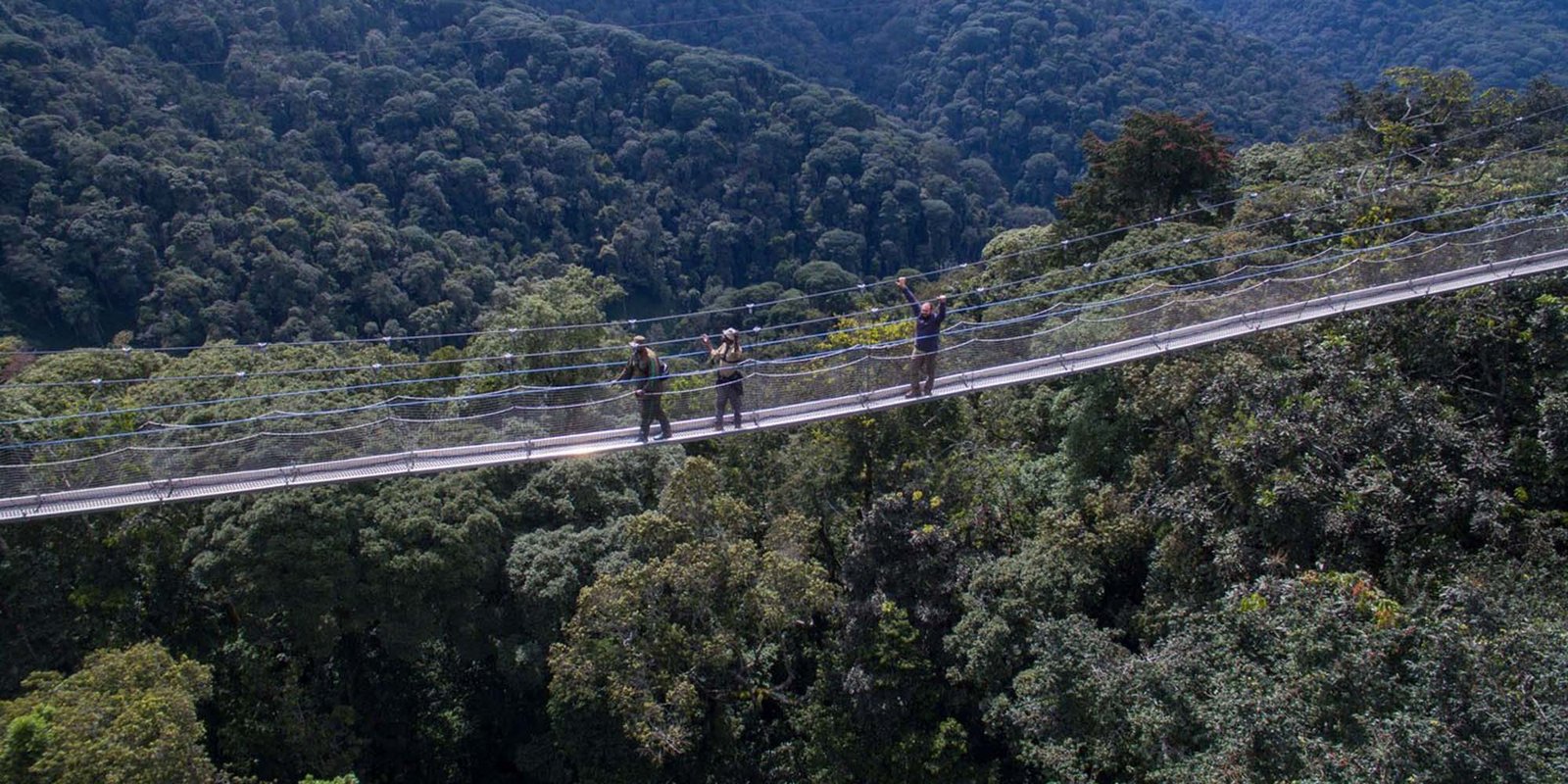 Nyungwe National Park | Rwanda