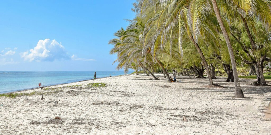 Tour of Zanzibar