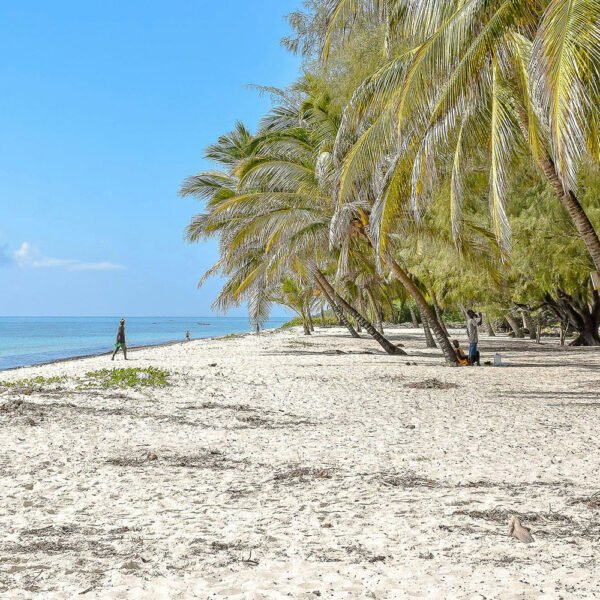 Tour of Zanzibar