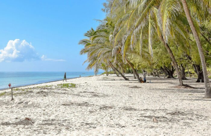 Tour of Zanzibar