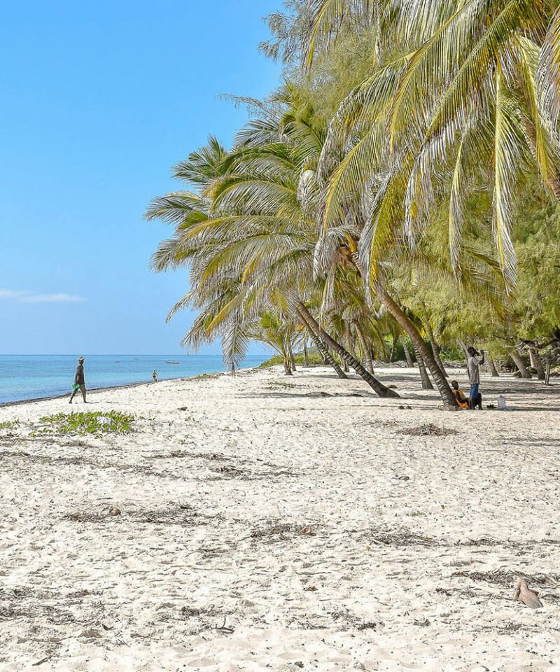 Tour of Zanzibar